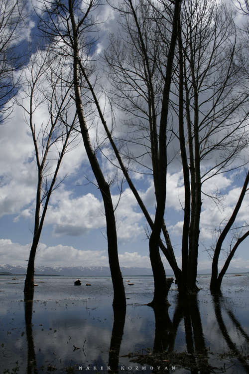 Sevan