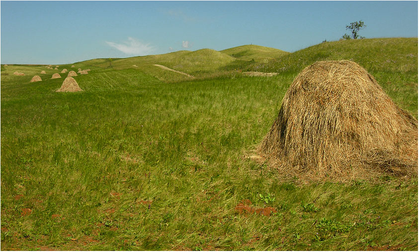 Родная сторона .