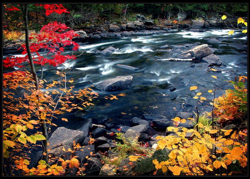 Autumn