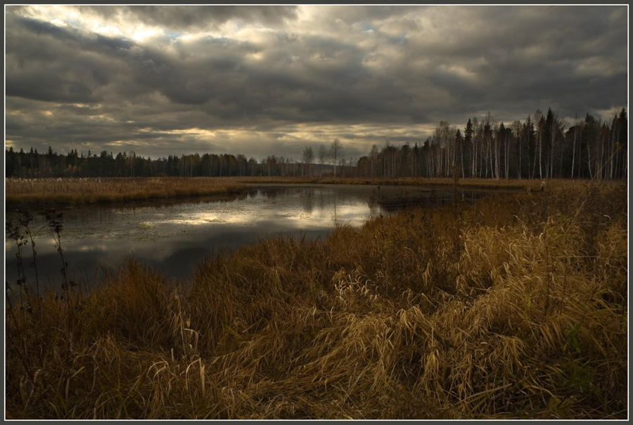 осеннии мотивы1