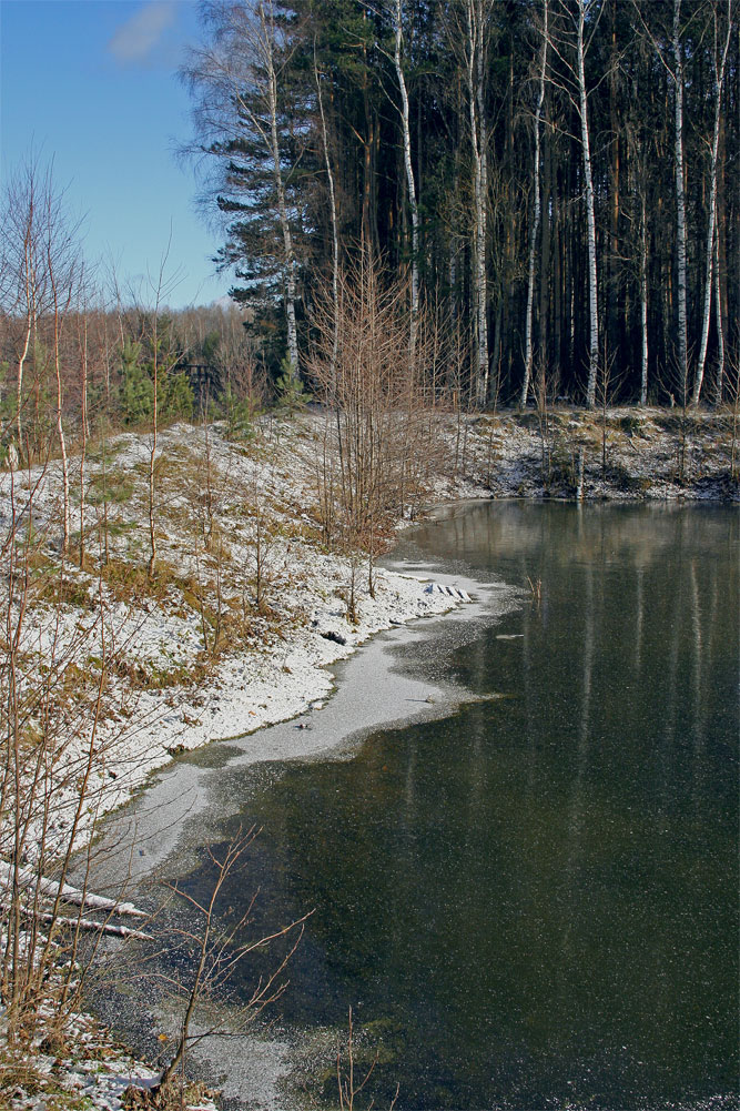 Первые заморозки