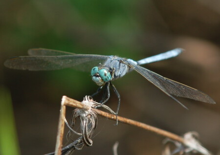 Внимание, улыбочка....Снимаю.