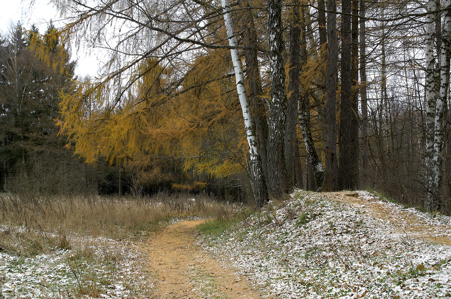 Смена красок