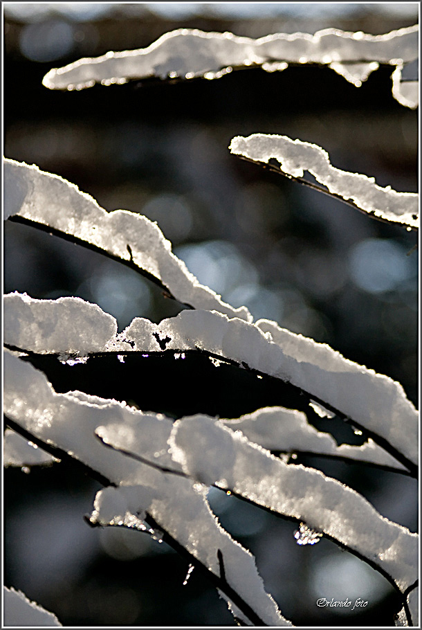 Winter lines
