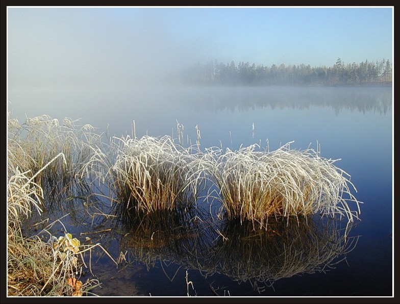 Утро на озере