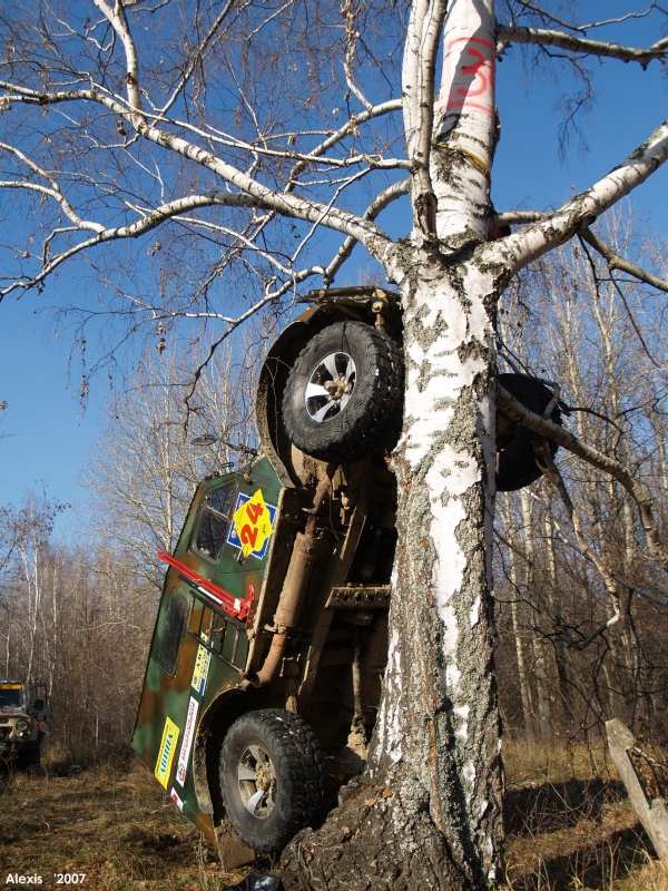 Ну их... на дереве безопасней...