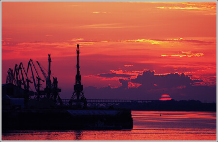 тропики где-то рядом...