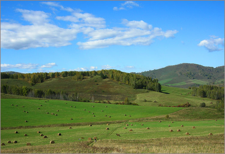 Алтай