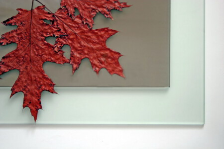 геометрия и природа