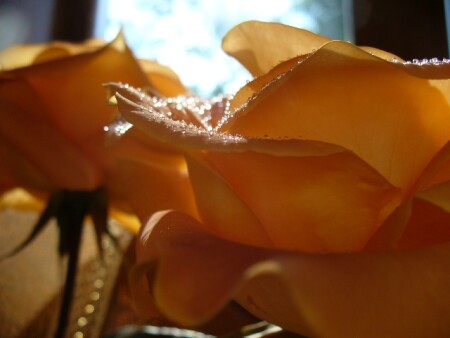 Из капелек путь...