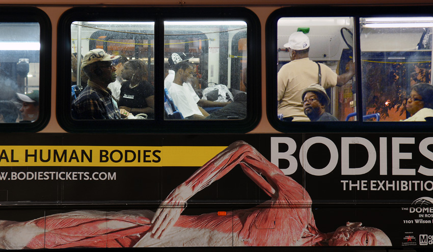 Bodies