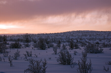 зима на севере 03