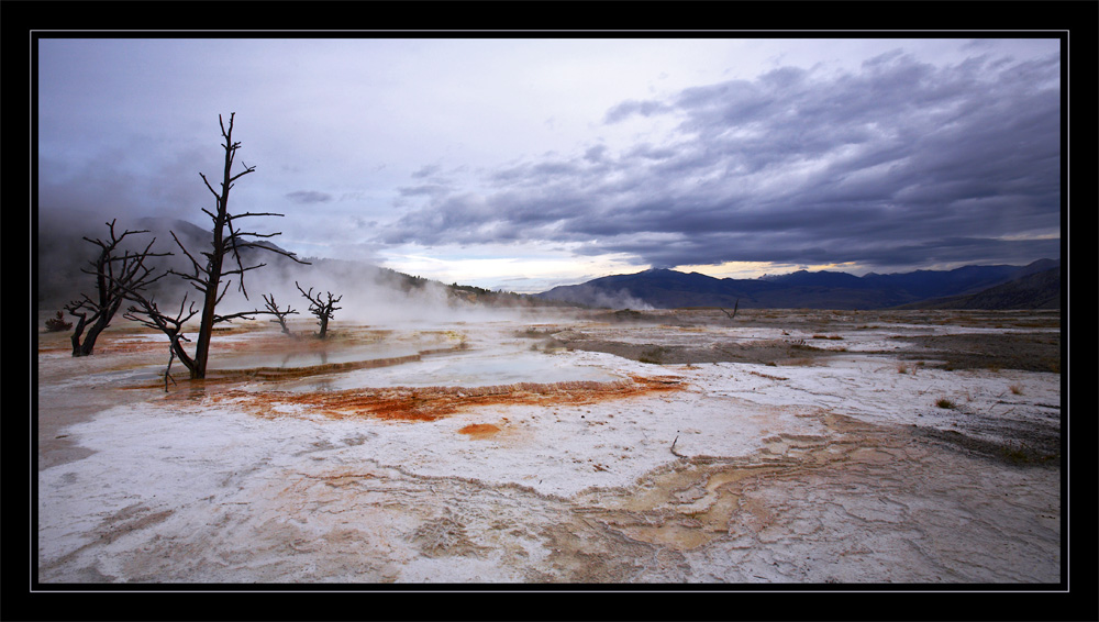 Canary Spring, Mammoth Hot Springs, Yellowstone. 
