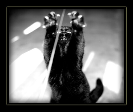 Заклинатель