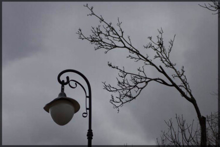 Фонарь и деревце