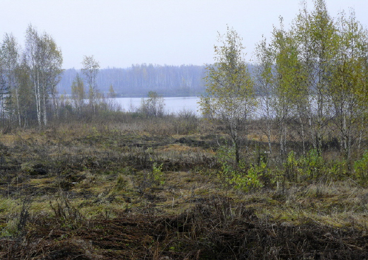 В конце октября