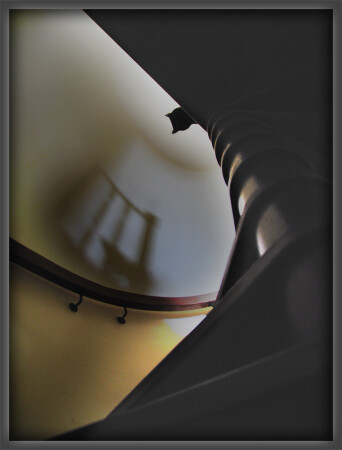 Кот,смотрящий с лестницы.