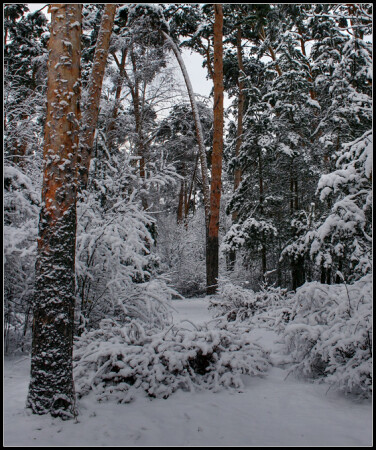 сНежность