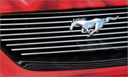Mustang.