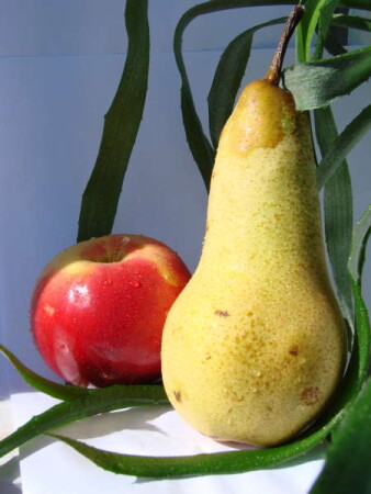 Яблоко-груша