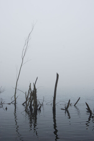 Осеннее настроение..