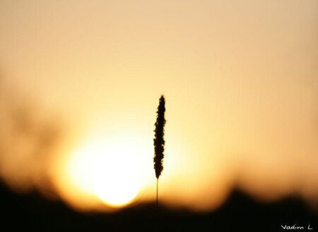 На закате :)