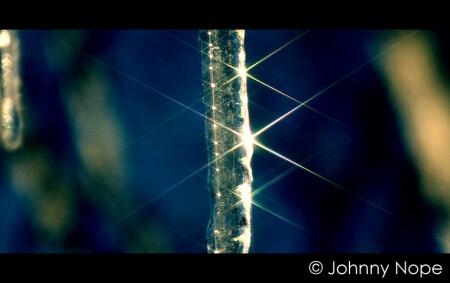 Spring 07