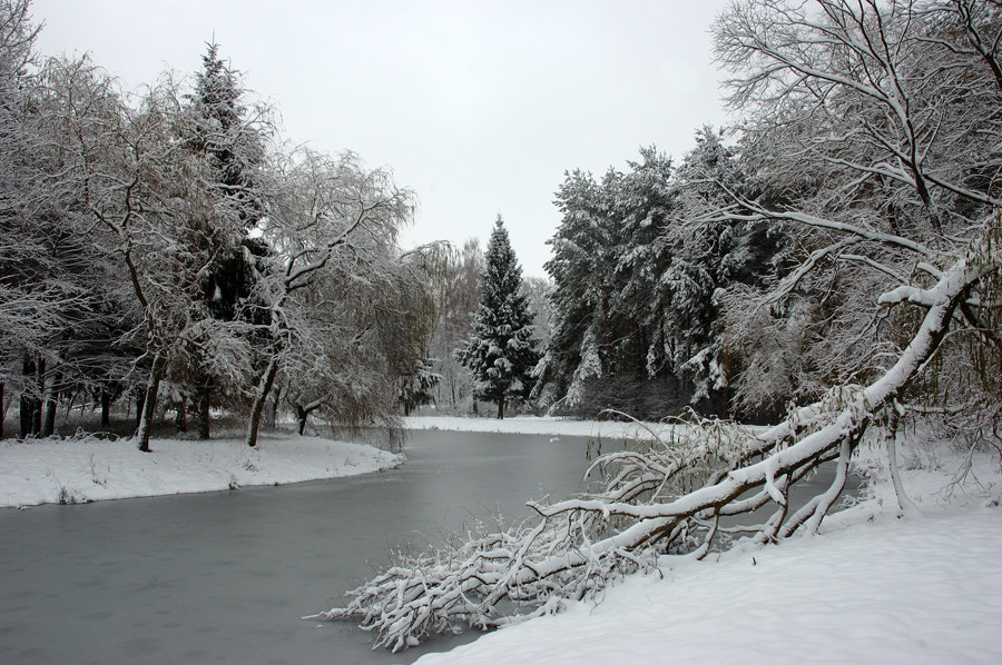 :: Winter I ::