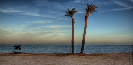 HDR/Проба № трис