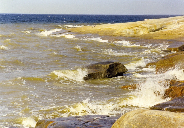 Белое море