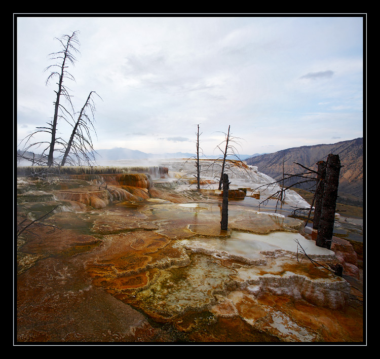 Minerva Terrace, Mammoth Hot Springs, Yellowstone. 