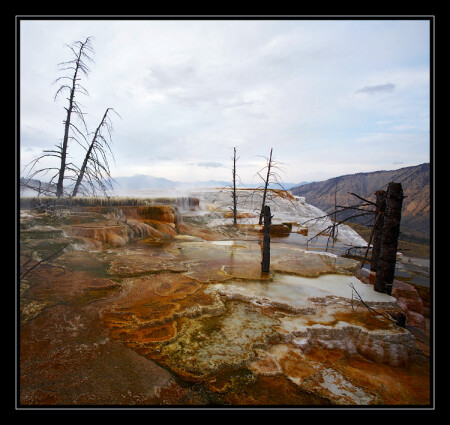 Minerva Terrace, Mammoth Hot Springs, Yellowstone.