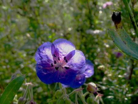 Под солнцем.