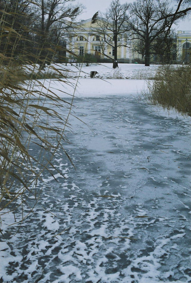 Зябкое утро