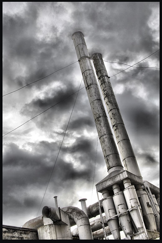 Half Life