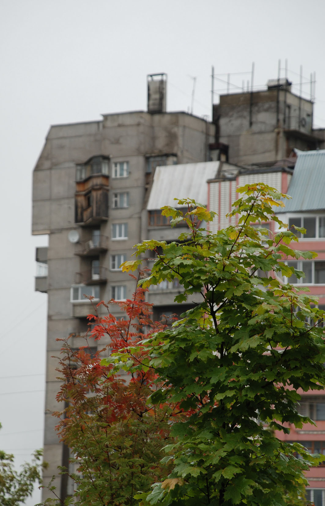 Дом и Дерево