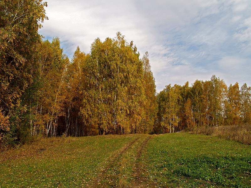 - золото осени -