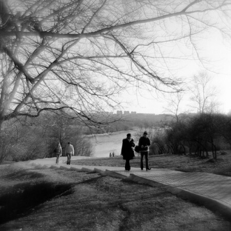 Без названия