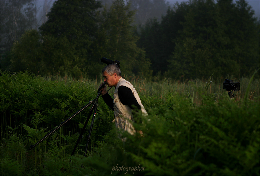 photographer 