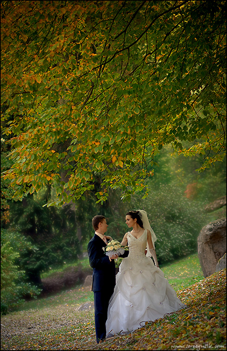 fall's fairy tale