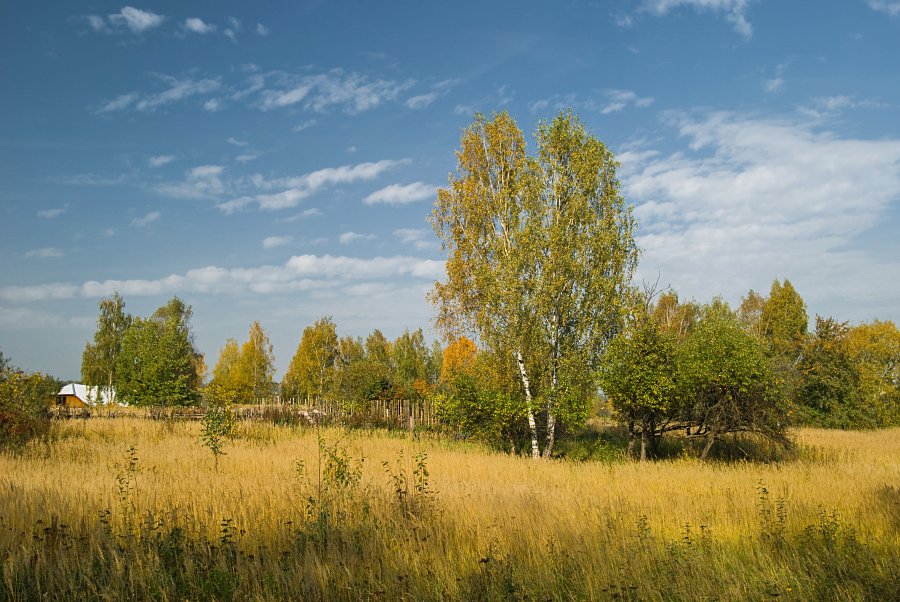 Сельское, среднерусское..)