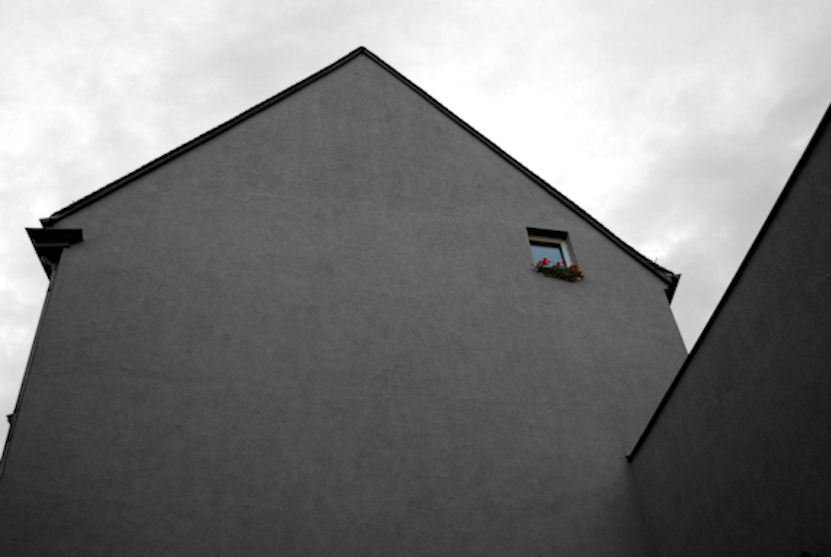 Window