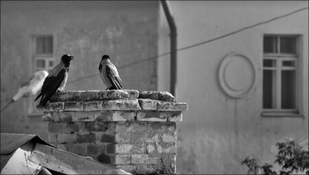 как здоровье-то, соседка