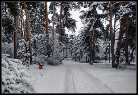 На дороге зимы