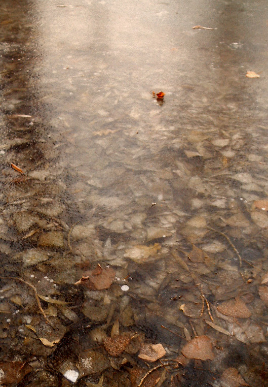 Зактная. Морозная.