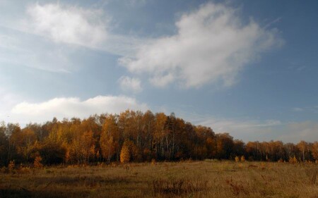 В багрец и золото одетые леса…