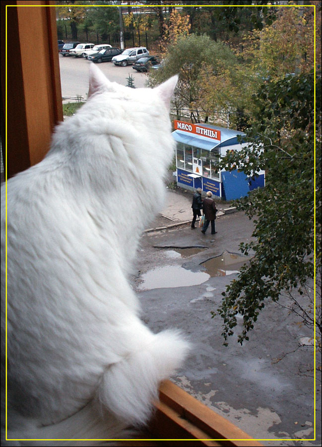 Заветный киоск