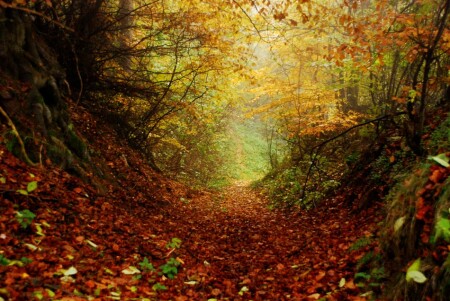 Златна есен