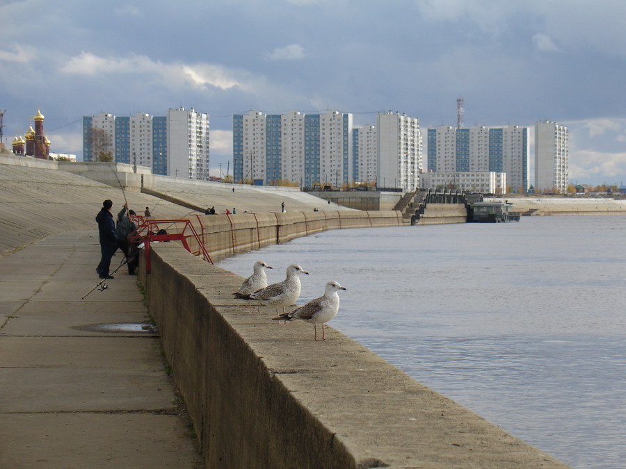 речной дозор