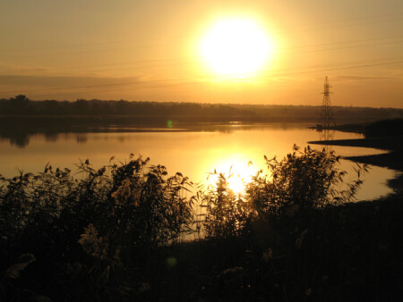 Золото Донского края